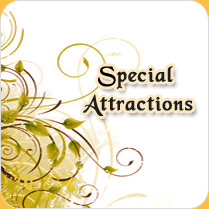 special attractions